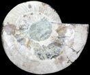 Bargain, Cut Ammonite Fossil (Half) - Agatized #71056-1